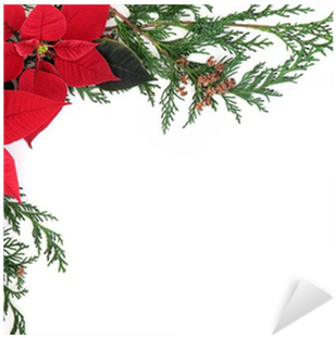 Poinsettia Border Png Download - Poinsettia Border (400x400), Png Download