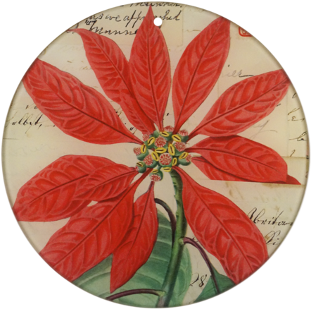 Poinsettia (480x480), Png Download