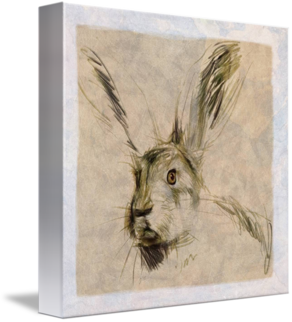 Jpg Library The Listening Hare By Tim Kahane - Poster: Kahane's Listening Hare, 41x41cm. (589x650), Png Download