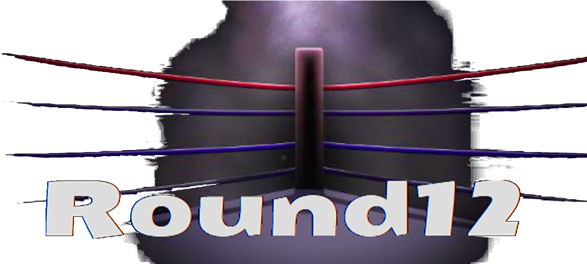 Net Is A Blog Regarding The Sport Of Boxing, Quite - Book Cover (1200x520), Png Download