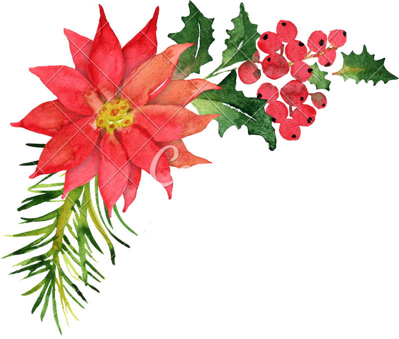 Christmas Bouquet With Poinsettia - Watercolor Poinsettia Bouquet (800x679), Png Download