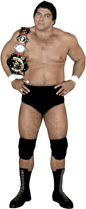 Don Muraco - Don Muraco Intercontinental Champion (320x728), Png Download