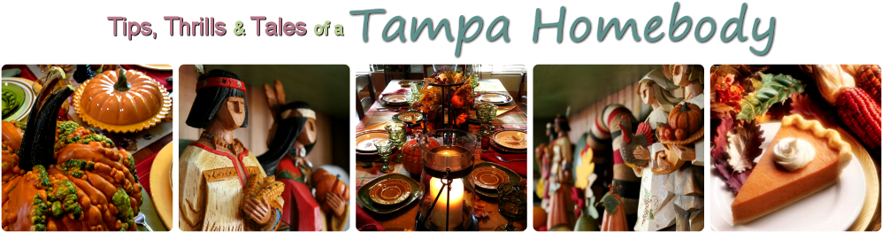 Tampa Homebody - Tampa (1008x275), Png Download
