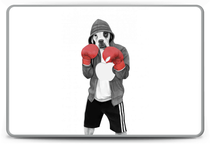Street Boxer - Sanna Wieslander Art Street Boxer Illustration (a4) (800x538), Png Download