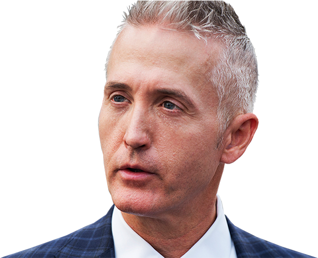 Hacked Email Reveals The Disturbing Thing Hillary Wanted - Trey Gowdy (691x509), Png Download