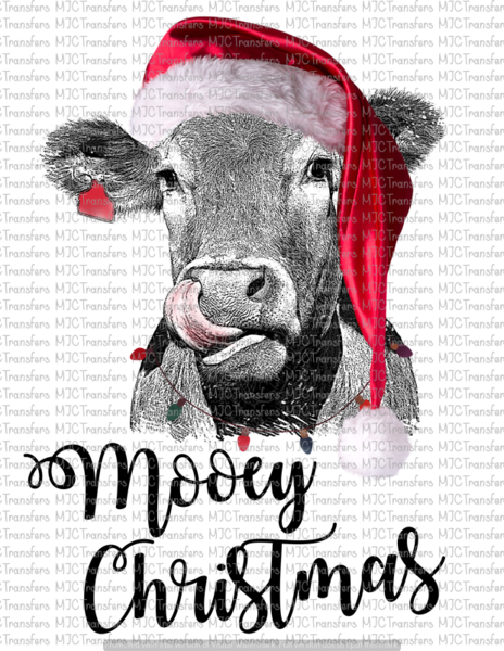 Mooey Christmas - Merry Christmas Round Ornament (464x600), Png Download