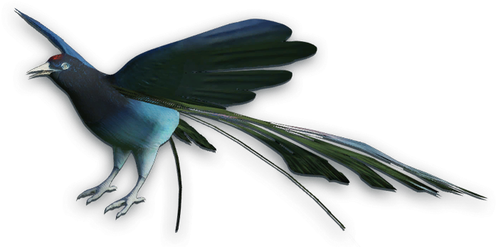 Transparent Eel Far Cry - Birds Of Paradise Png (705x355), Png Download