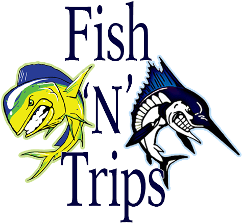 Fish & Trip - Atlantic Blue Marlin (530x482), Png Download