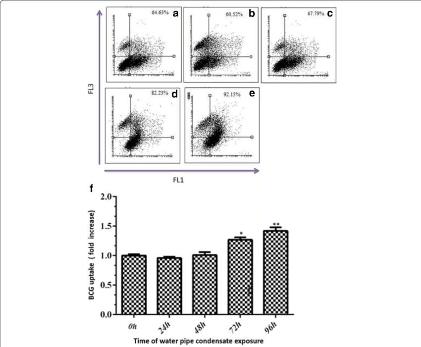 Time Course Of Water Pipe Condensate On The Uptake - Monochrome (850x701), Png Download