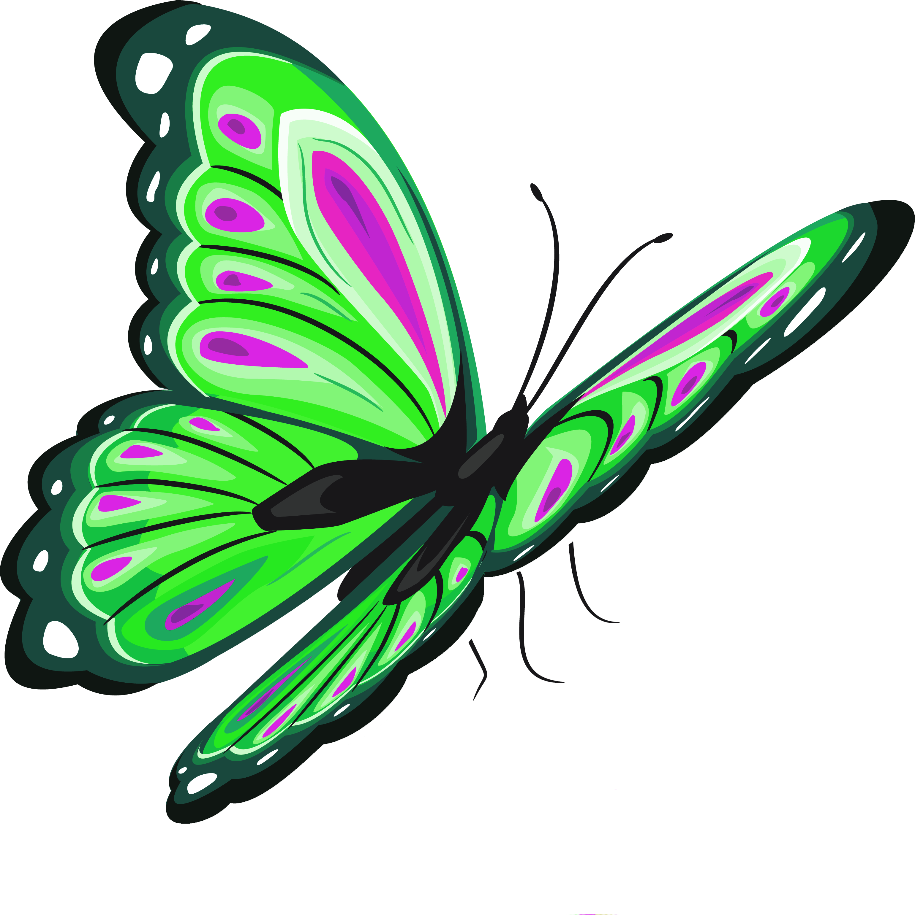 Green And Pink Butterfly Png Clipart Picture - Butterfly Png (3804x3632), Png Download