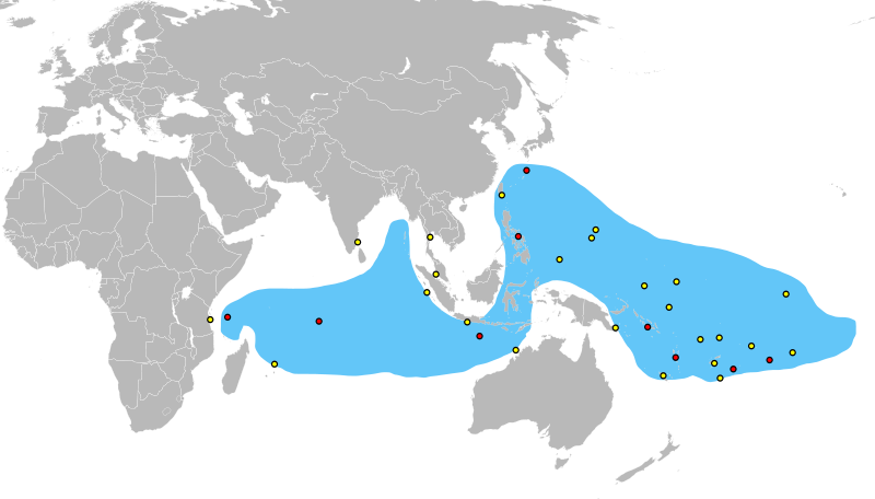 Blobfish - Black Sea Bass Range (800x456), Png Download