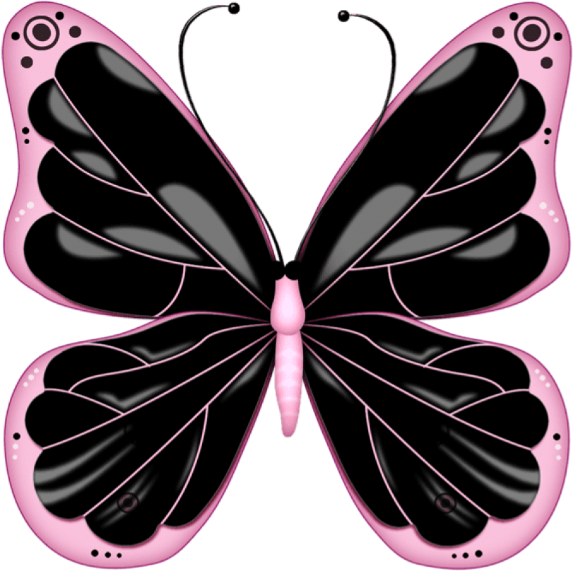 Black & Pink Transparent Butterfly Clipart - Pink And Black Butterflies (600x588), Png Download