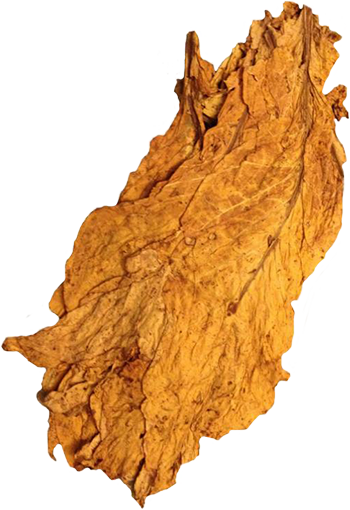 Organic American Virginia - Tobacco (350x510), Png Download