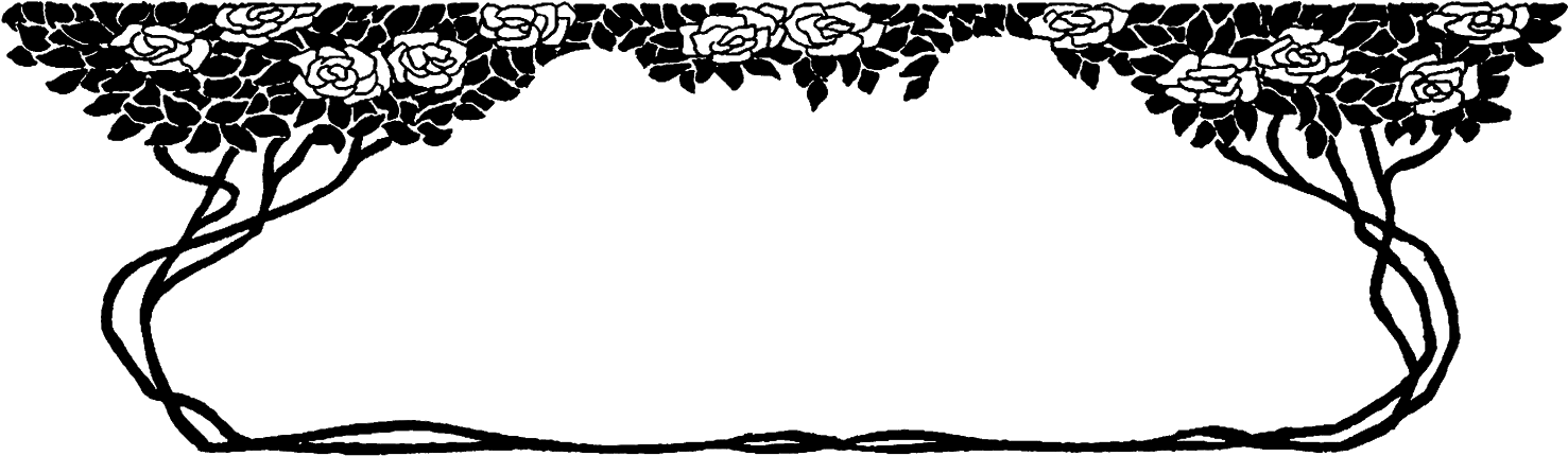 And The Roses And Leaves Illustration On The Top Of - Design (1600x555), Png Download