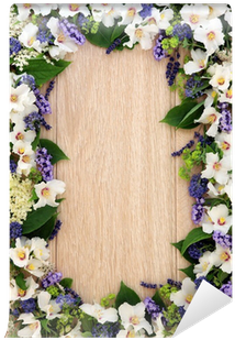 Gardenia (400x400), Png Download