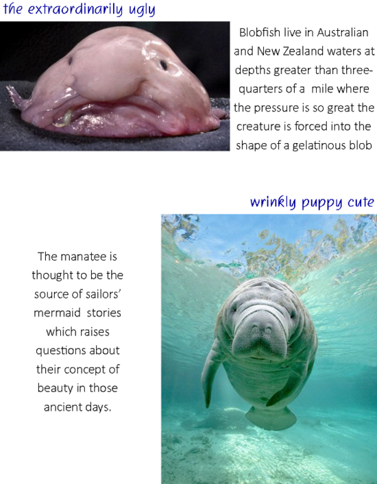 4 - Babymanatee Ipad2 Square Sticker 3" X 3" (550x707), Png Download