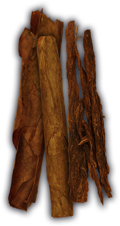 Umbrella (475x892), Png Download