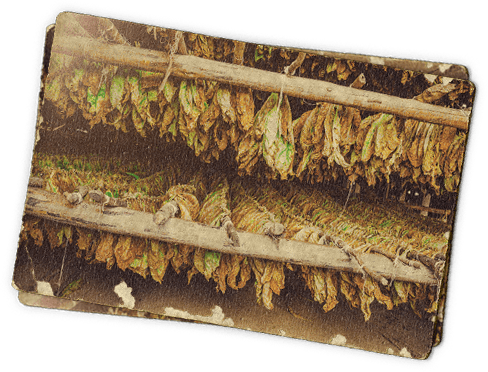 Naturally Extracted - Electronic Cigarette Aerosol And Liquid (488x372), Png Download