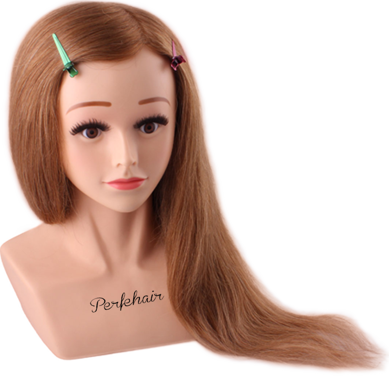 Perfehair Top Quality Mannequin Head Cosmetology Mannequin Head Near