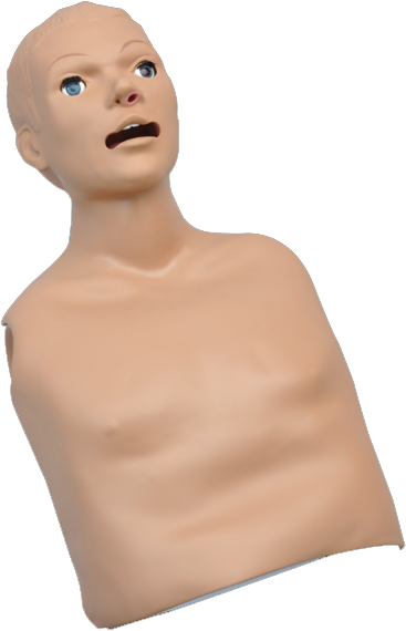Fully Articulating Head - Cpr Dummies (367x570), Png Download