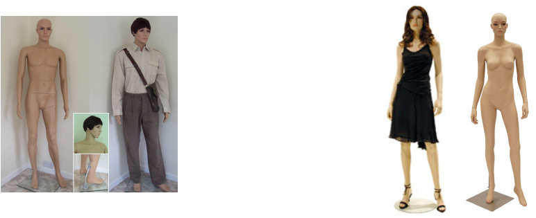 Mannequins Have Arms, Legs And A Head, That Is Detachable - Mannequins With Clothes Png (772x315), Png Download