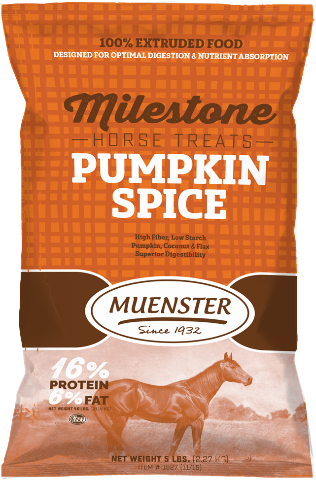 Milestone Treats Horse Ps Pumpkin Spice - Pumpkin Horse Treats (792x1092), Png Download