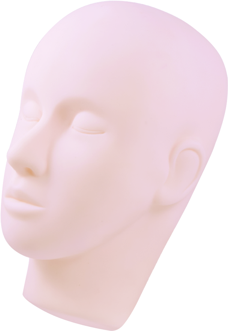 Mannequin Head - Bust (600x600), Png Download