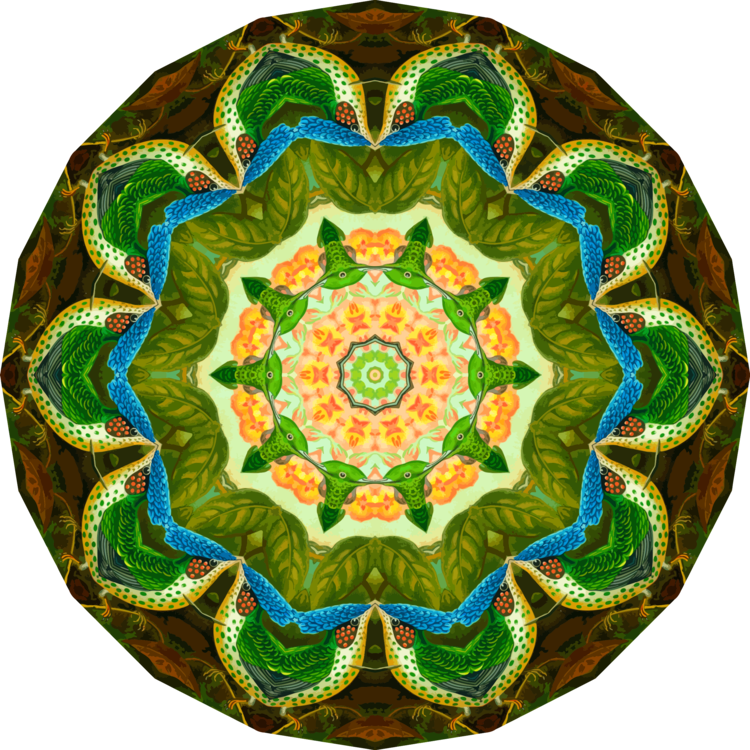 Hummingbirds In Nature Composition Notebook - Composition Journal Bird Illustrations: Student Notebook; (750x750), Png Download