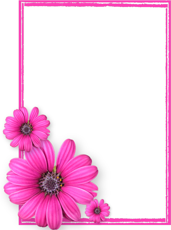 Pink Flower Frame Png Photos8 - Pink Flower Frame Png (600x790), Png Download