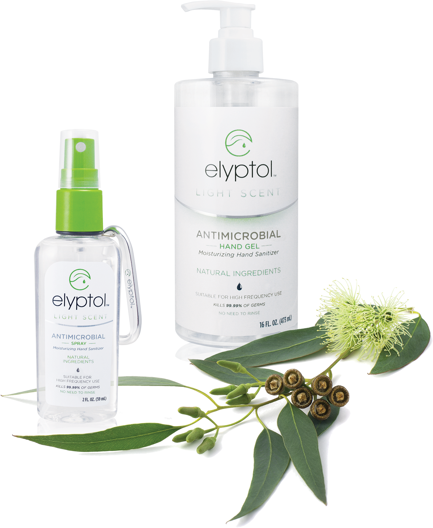 *available As Elyptol Hand Sanitizer Wipe Or Elyptol - Eucalyptus Globulus (1447x1757), Png Download