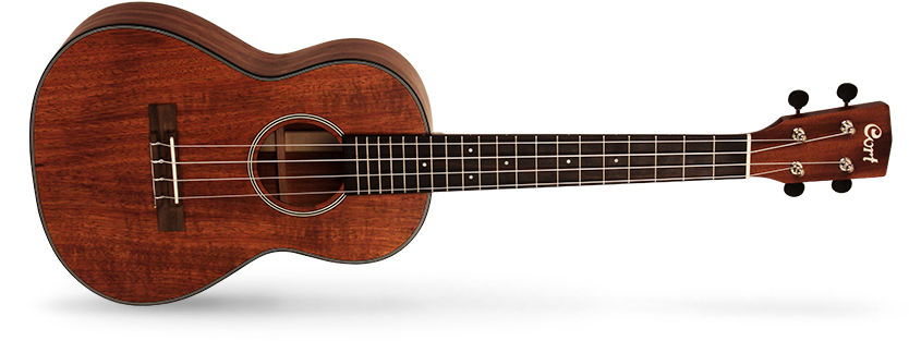 Majesty Ernie Ball (980x400), Png Download