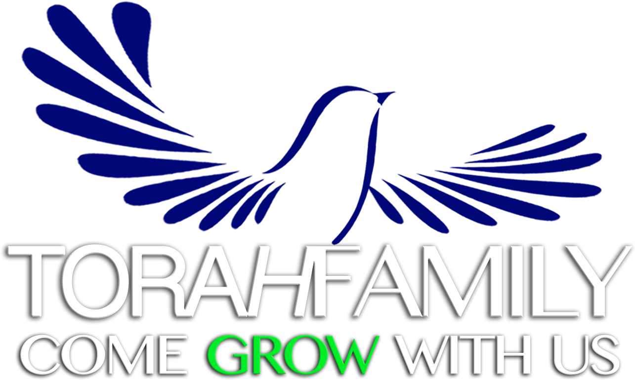 Tf1 - Torah (1314x814), Png Download