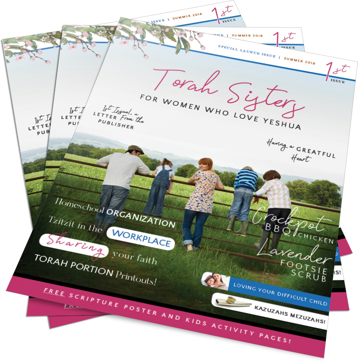 Torah Sisters Is Now Available As A Hard Copy - Torah (729x736), Png Download