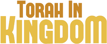 T I Kingdom 02 - Tan (700x175), Png Download