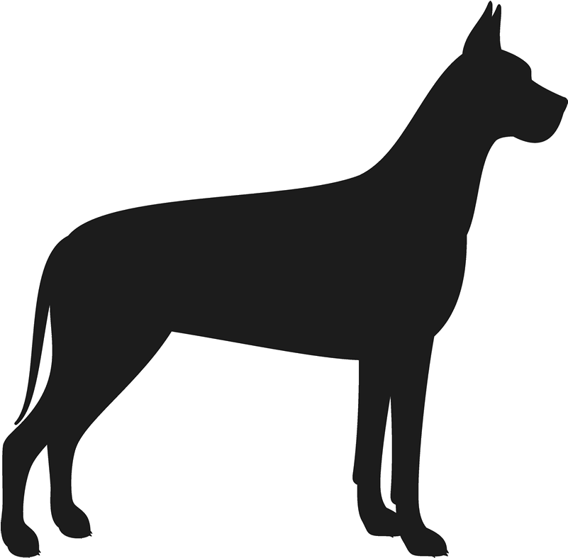 Great Dane Stamp - Portable Network Graphics (800x800), Png Download