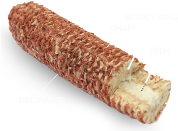 Corn Cob With Breakdown - Corncob (410x318), Png Download