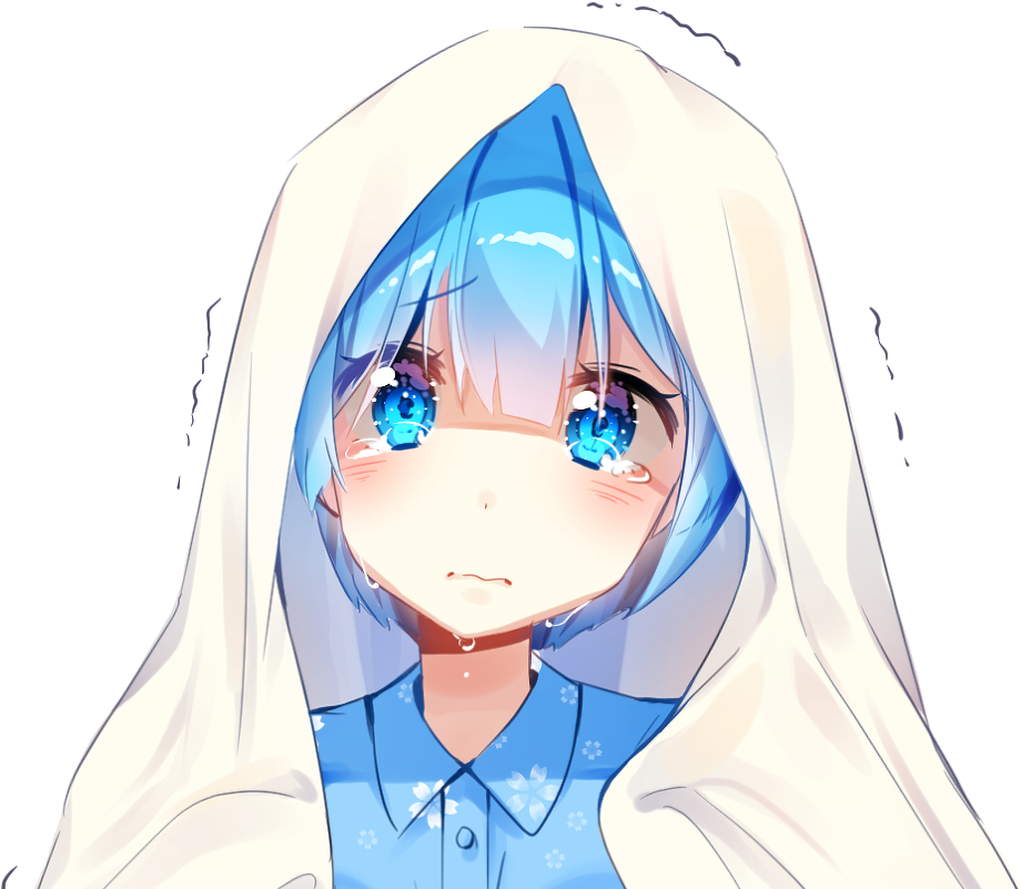 Lien Direct, - Re:zero − Starting Life In Another World (1100x825), Png Download