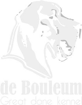 Great Dane (338x404), Png Download