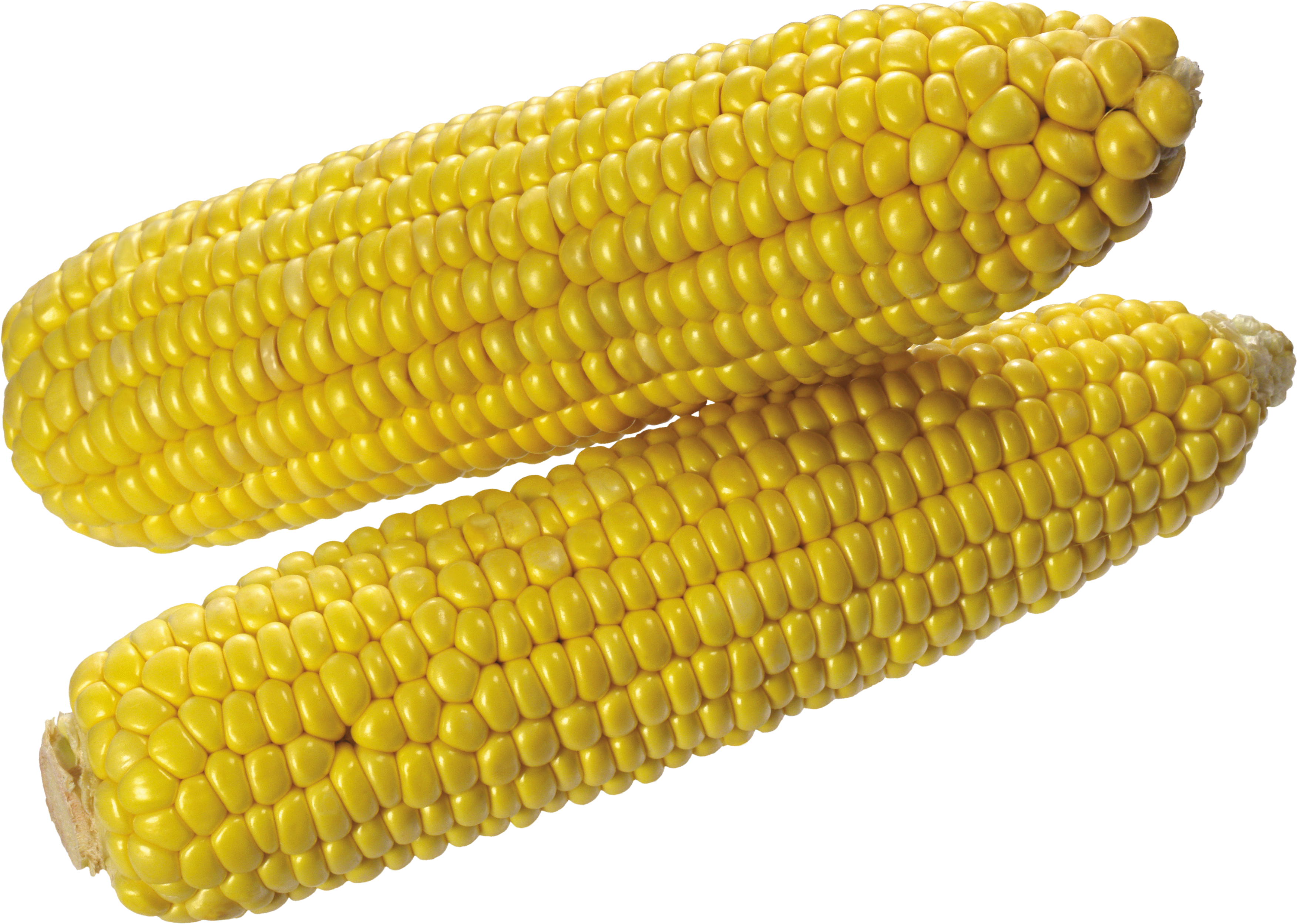 Free Png Corn Png Images Transparent - Corn Transparent Background (850x606), Png Download