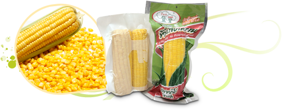 Sweet Corn On The Cob In Vacuum Packed - Packed Corn (617x257), Png Download
