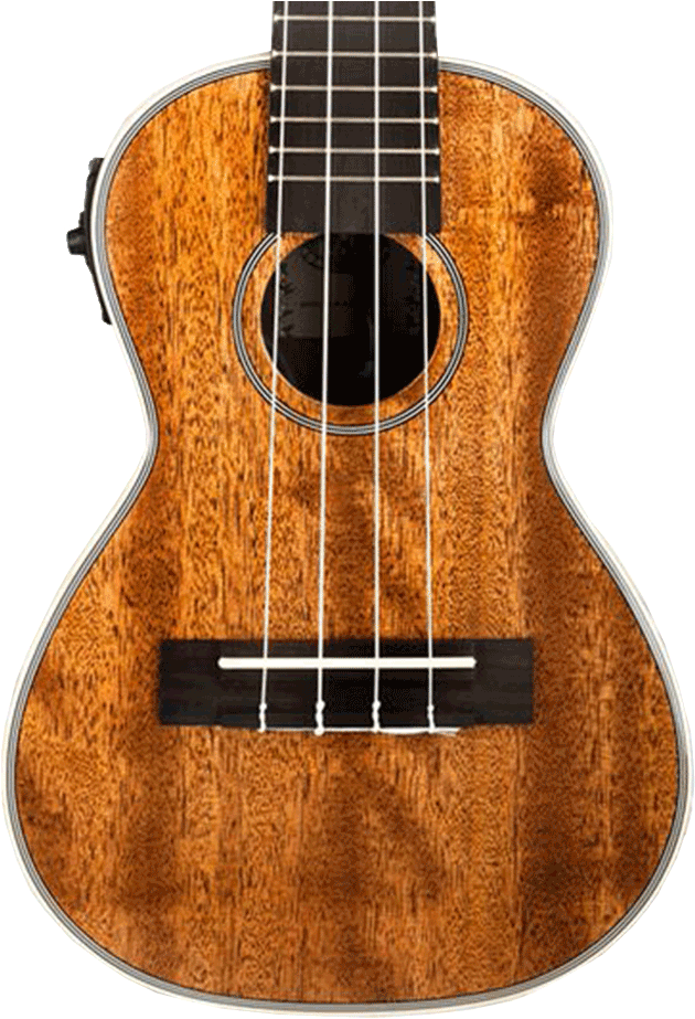 Kala Ka-cge Ukulele Gloss Mahogany Concert With Eq - Kala Ka-cge Concert Gloss Mahogany Ukulele (1000x1000), Png Download