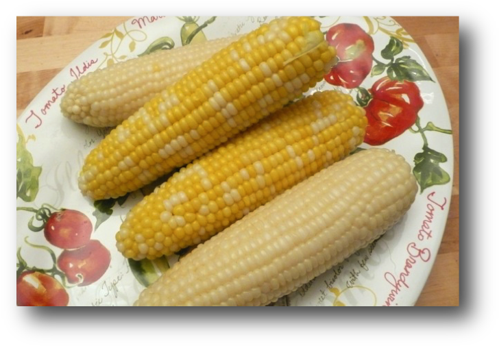 Stove Cooked Corn On The Cob - Corn On The Cob (739x516), Png Download