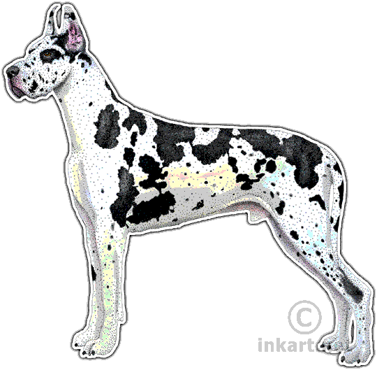 Great Dane Decal - Great Dane Rectangle Magnet (540x529), Png Download