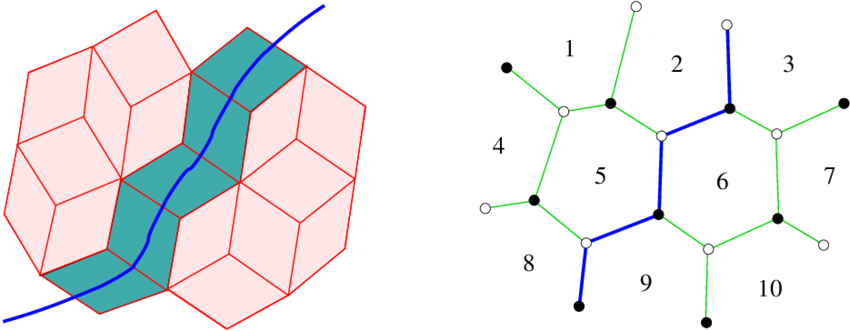 Rhombus Path In The Rhombus Lattice - Diagram (850x331), Png Download