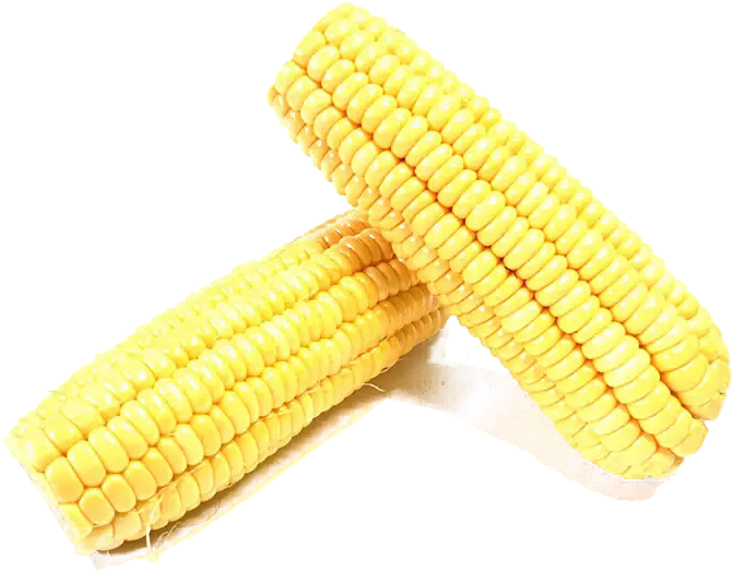 Corn On The Cob Maize Black Box - Maize (700x700), Png Download