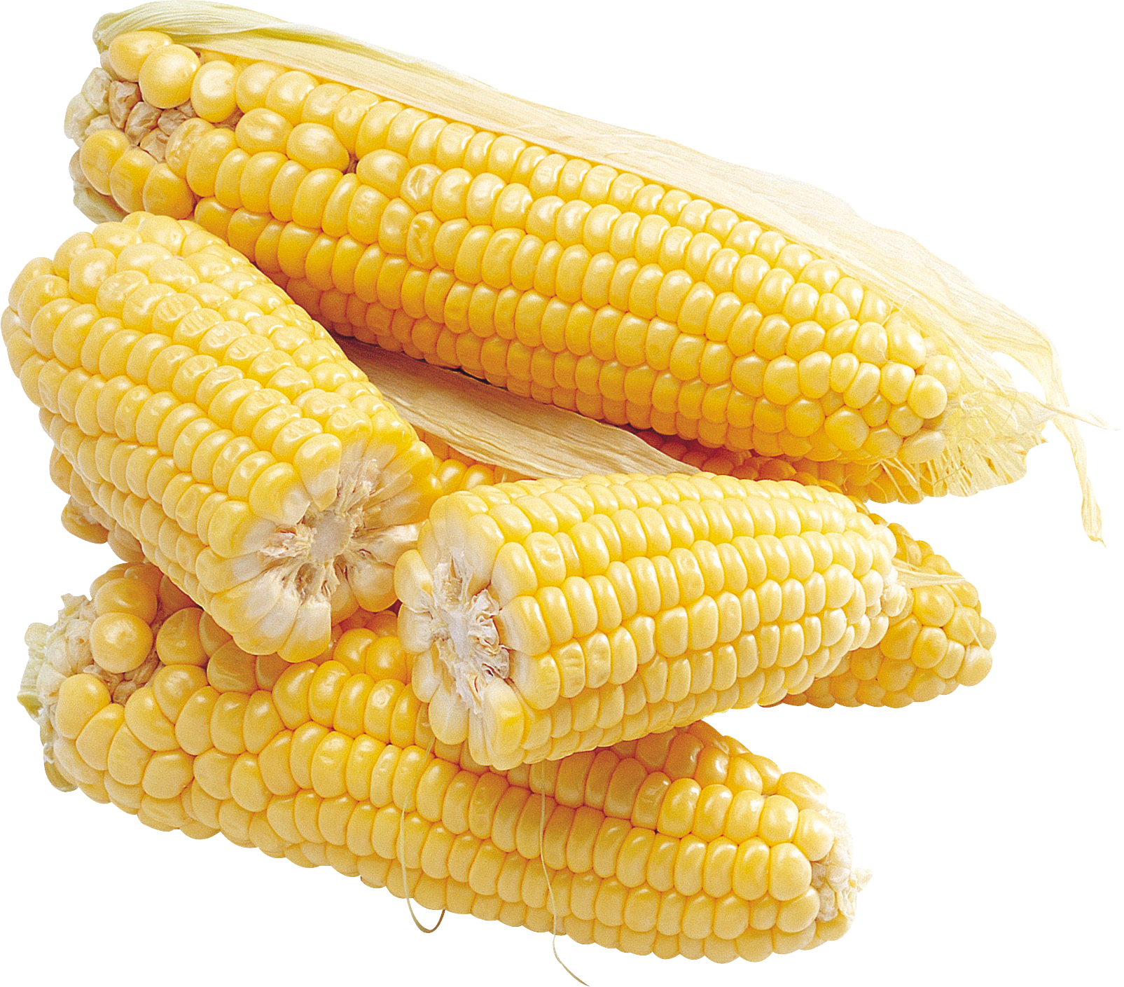 Corn Transparent Png Sticker - Кукуруза Пнг (1605x1409), Png Download