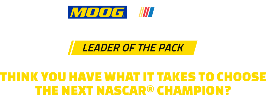 Each Week, Moog ® Invites You To Choose The Nascar - Link Stabiliser - Moog - Kia Carens (ki-ls-8917) (930x332), Png Download