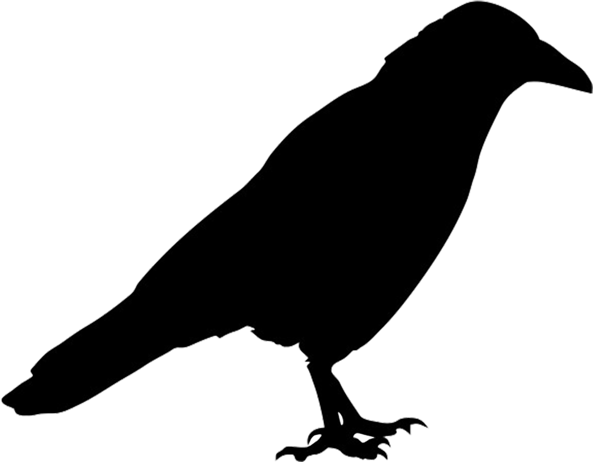 Raven Silhouette Png For Kids - Crow Silhouette Png (1281x1069), Png Download