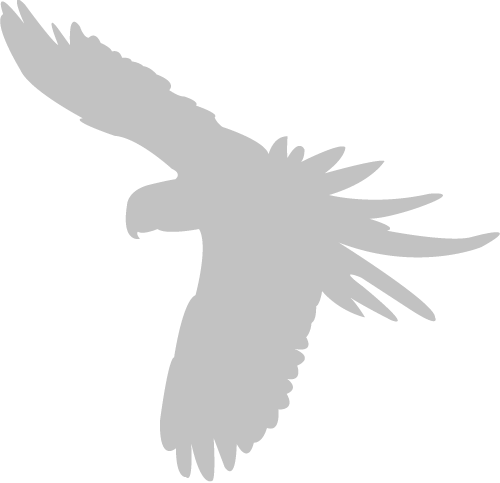 If You Would Like To Post Information About A Job, - Grey Bird Png (500x483), Png Download