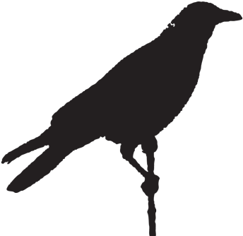 Sedona Is Known As A Place Of Art, Mystery, Spirituality, - Portable Network Graphics (400x353), Png Download